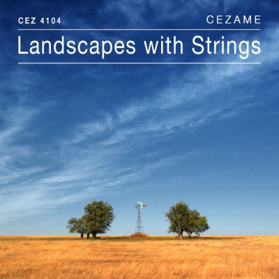 Landscapes with Strings