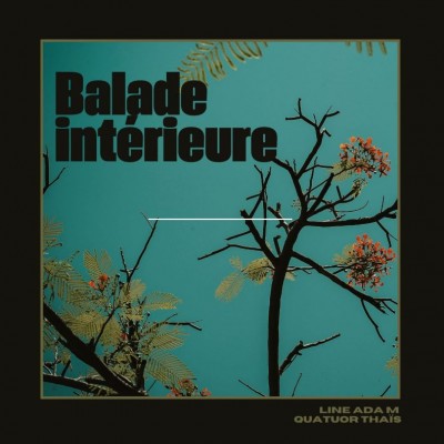 Concert Balade interieure