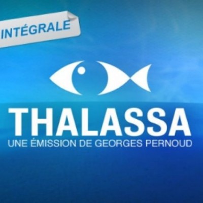 Thalassa - Couleurs de Mer