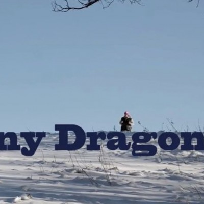 Johnny Dragon